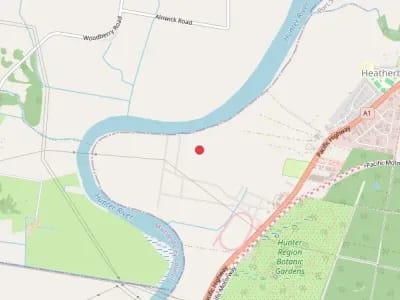 new-age-newcastle-newcastle-map.webp